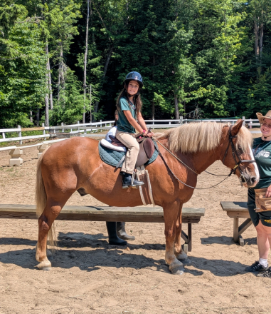 HorseID: 2314966 We are in Maine now! - PhotoID: 1101459