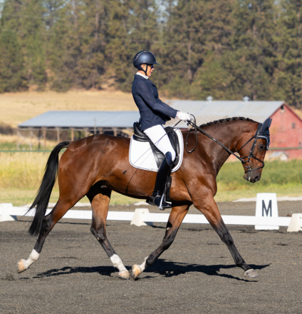 HorseID: 2315203 Pendleton GB - PhotoID: 1101394