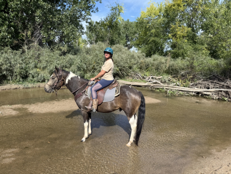 HorseID: 2315217 Hollywood Smoken Cash - PhotoID: 1101217