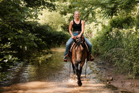 HorseID: 2315222 Watch Bridleless Video! Moonshine - PhotoID: 1101225