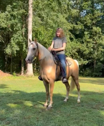 HorseID: 2315248 Mack - PhotoID: 1101352