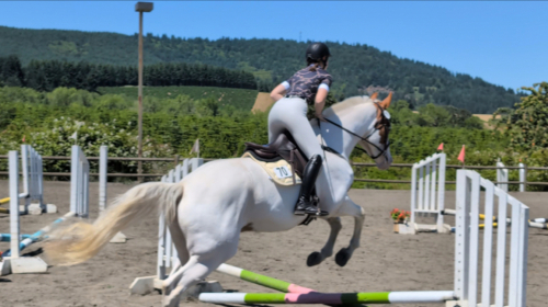 HorseID: 2315249 Dirty Rhythms - PhotoID: 1101248