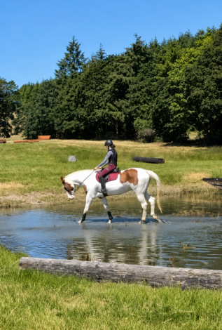 HorseID: 2315249 Dirty Rhythms - PhotoID: 1101250