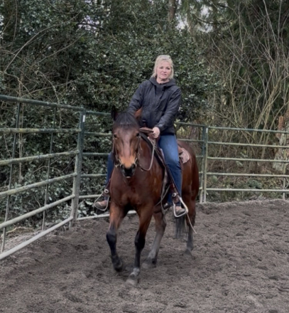 HorseID: 2315250 Bella Dawn - PhotoID: 1101251