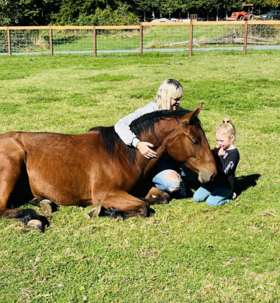 HorseID: 2315250 Bella Dawn - PhotoID: 1101252