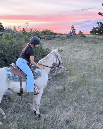 HorseID: 2315251 CRR Lady Pearl - PhotoID: 1101197