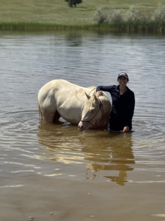 HorseID: 2315251 CRR Lady Pearl - PhotoID: 1101198