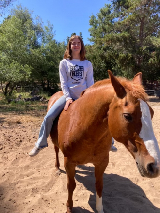 HorseID: 2315268 Tomboys Topspot - PhotoID: 1101283