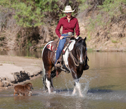 HorseID: 2315290 TWR GOTTA STINGN WHIZ - PhotoID: 1101309