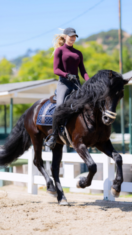 HorseID: 2315295 Ares - PhotoID: 1101313