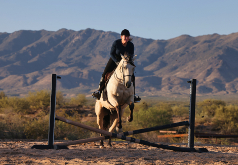 HorseID: 2315303 TOOSHOTS PLS - PhotoID: 1101330