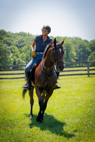 HorseID: 2315308 Warrior’s Cause - PhotoID: 1101339