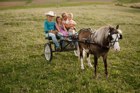 HorseID: 2315319 Watch Video! Kid Safe Rides/Drives - PhotoID: 1101358