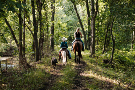 HorseID: 2315319 Watch Video! Kid Safe Rides/Drives - PhotoID: 1101359