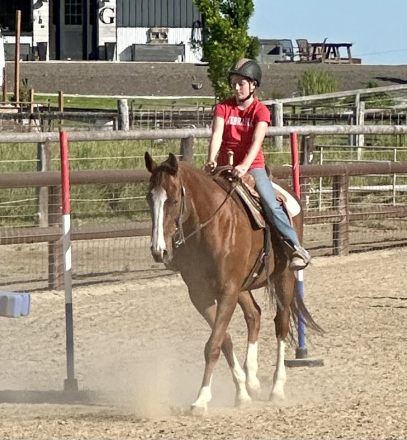 HorseID: 2315366 Pal - PhotoID: 1101437