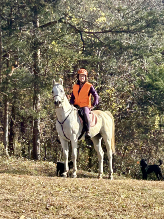 HorseID: 2315378 Ray - PhotoID: 1101452