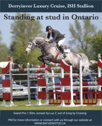 HorseID: 2315383 Silver Nova BVS - PhotoID: 1101466
