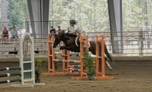 HorseID: 2315400 Dragon Tails Perfect Match - PhotoID: 1101503