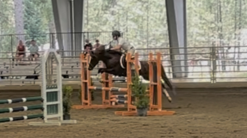 HorseID: 2315401 Dragon Tail Dippin Dots - PhotoID: 1101508