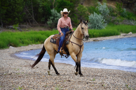 HorseID: 2315421 Divas Smoken King - PhotoID: 1101524