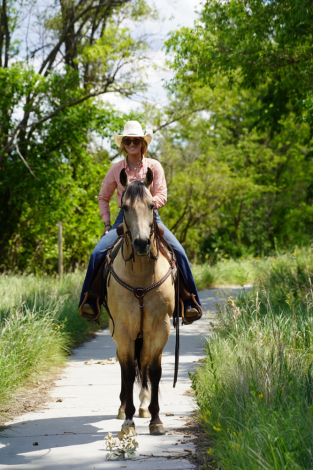 HorseID: 2315421 Divas Smoken King - PhotoID: 1101525