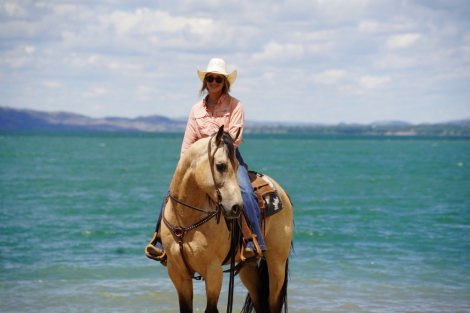 HorseID: 2315421 Divas Smoken King - PhotoID: 1101527