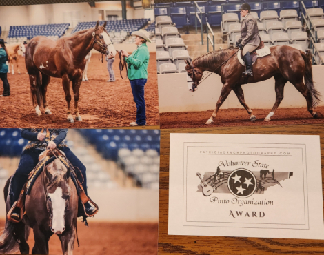 HorseID: 2315422 The Machine Shop - PhotoID: 1101529