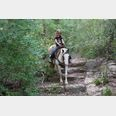 HorseID: 2315423 Bur Oak Holly - PhotoID: 1101534