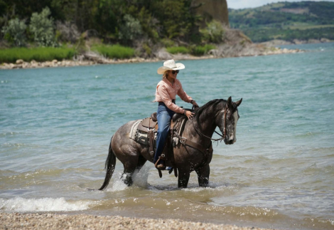 HorseID: 2315424 WKM SIZZLIN MAGIC - PhotoID: 1101537