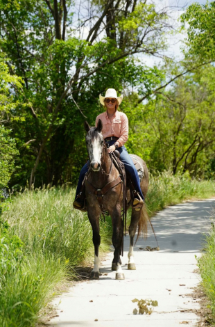 HorseID: 2315424 WKM SIZZLIN MAGIC - PhotoID: 1101539
