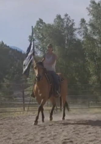 HorseID: 2315437 Findly - PhotoID: 1101562