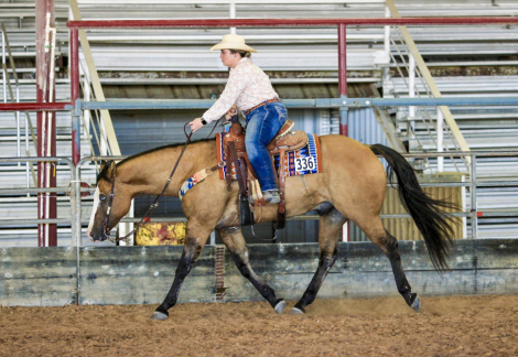 HorseID: 2315445 Dun Gotta Dazzle - PhotoID: 1101580