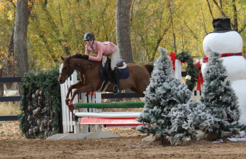 HorseID: 2315462 Amber Hill’s Frankly My Dear - PhotoID: 1101610