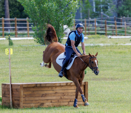 HorseID: 2315504 Queen - PhotoID: 1101640