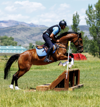HorseID: 2315509 Nicole - PhotoID: 1101647
