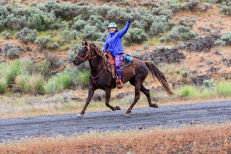 HorseID: 2315524 KTM Silver Star - PhotoID: 1101657