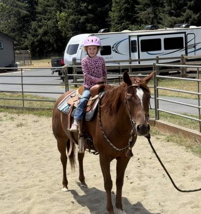 HorseID: 2315538 Sadie - PhotoID: 1101670