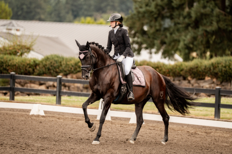 HorseID: 2315540 Mara - La Granada - PhotoID: 1102007