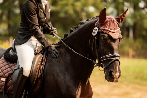 HorseID: 2315540 Mara - La Granada - PhotoID: 1102008