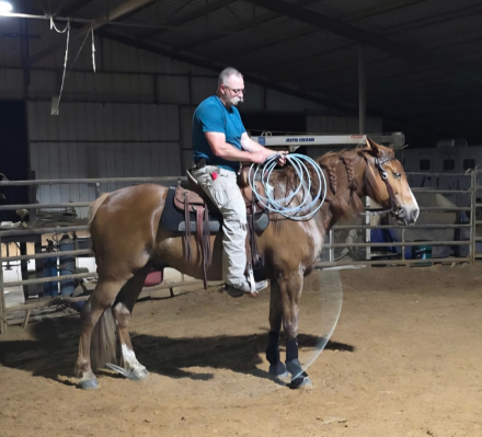 HorseID: 2315541 Razorman's Backdraft - PhotoID: 1101675