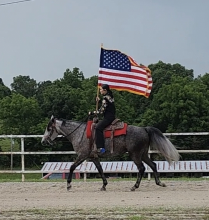HorseID: 2315542 Top Gun's Goose - PhotoID: 1101677