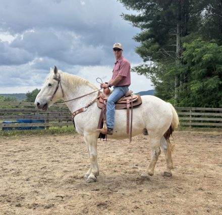 HorseID: 2315545 Lonnie - PhotoID: 1101679