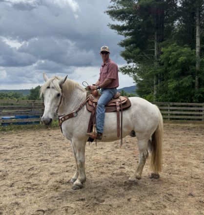 HorseID: 2315545 Lonnie - PhotoID: 1101684