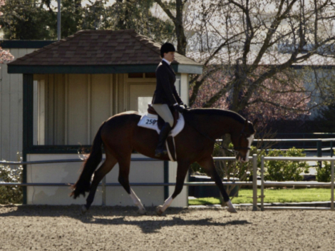 HorseID: 2315559 EPR Take Your Time - PhotoID: 1101695