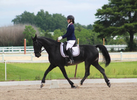HorseID: 2315609 Ineeta - PhotoID: 1101740