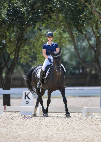 HorseID: 2315609 Ineeta - PhotoID: 1101741