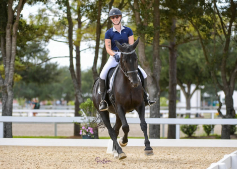 HorseID: 2315609 Ineeta - PhotoID: 1101742