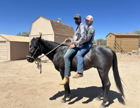 HorseID: 2315611 J Heart Texas Sage - PhotoID: 1101746