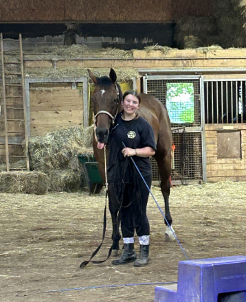HorseID: 2315620 Westshore Road - PhotoID: 1101755