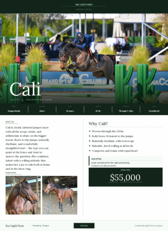 HorseID: 2315624 Calista Z - PhotoID: 1101758